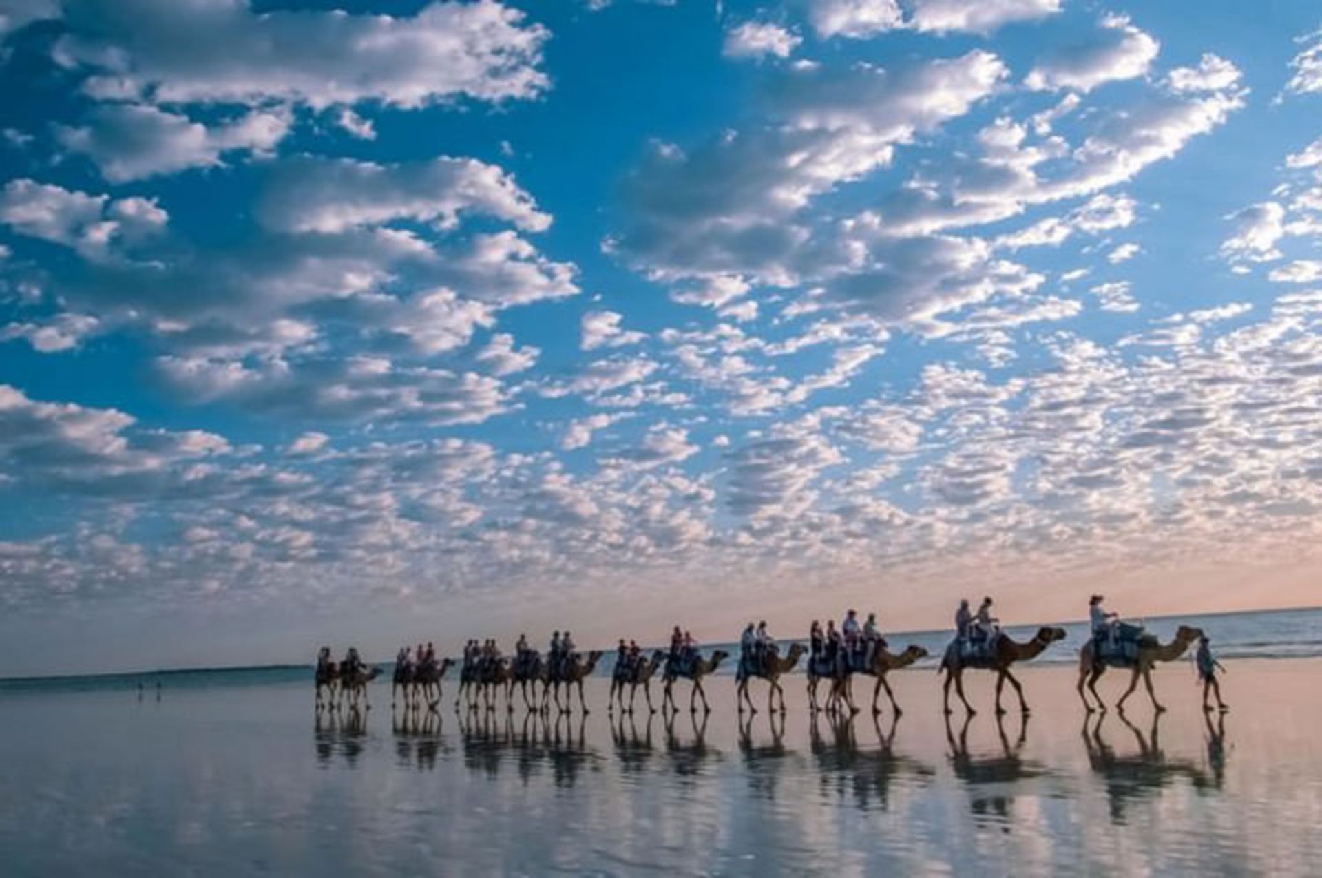 2015-07-camel-safari-4