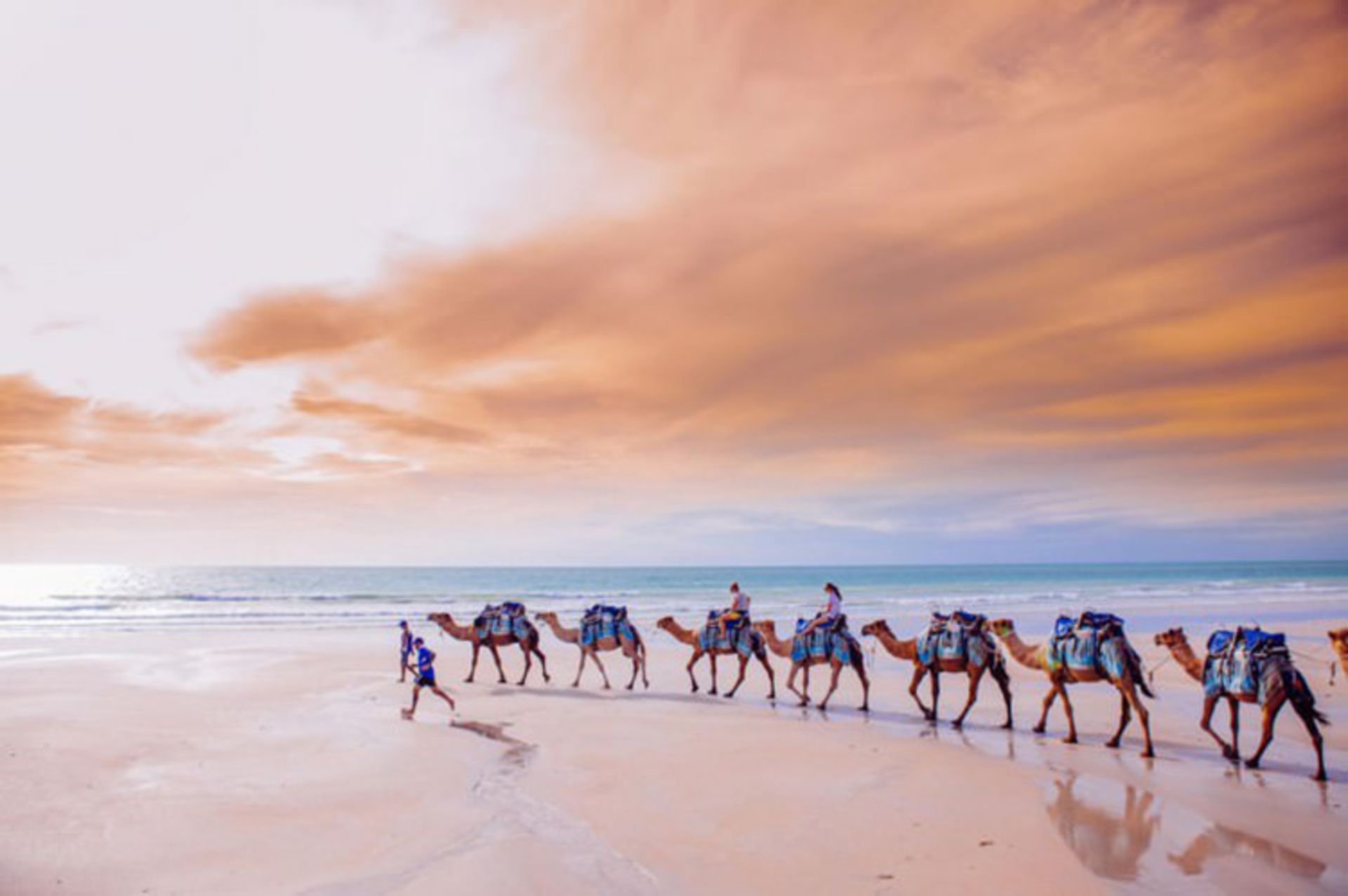 2015-07-camel-safari-5
