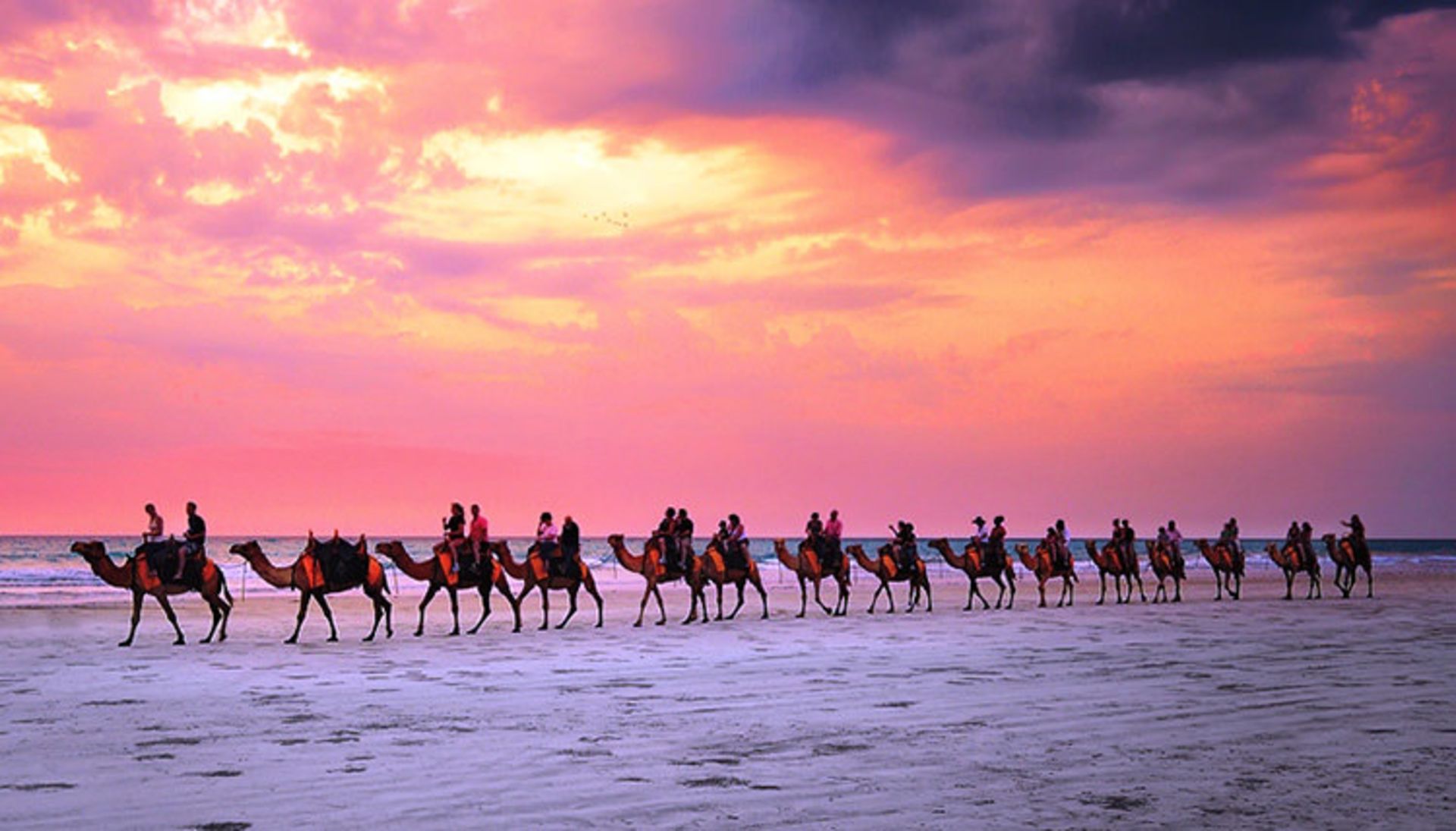 2015-07-camel-safari-6