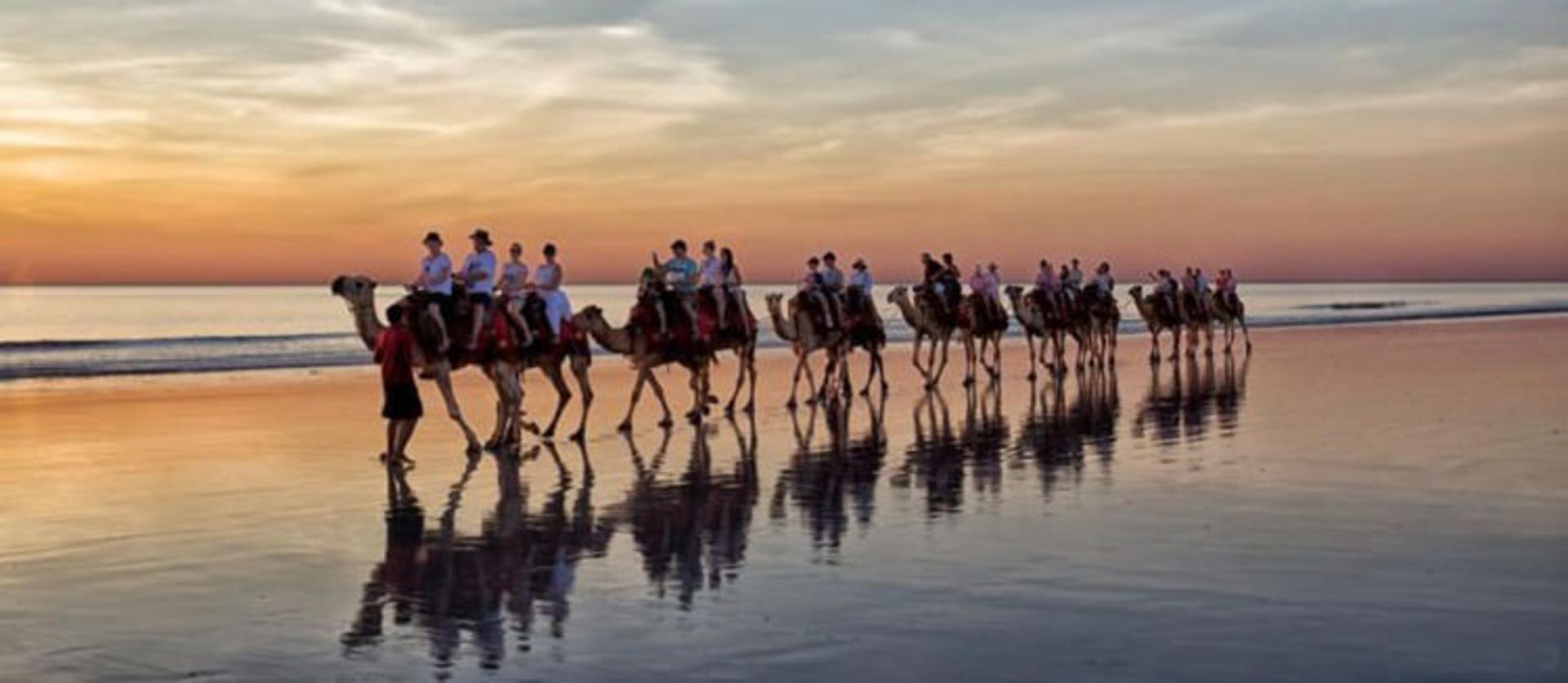 2015-07-camel-safari-7