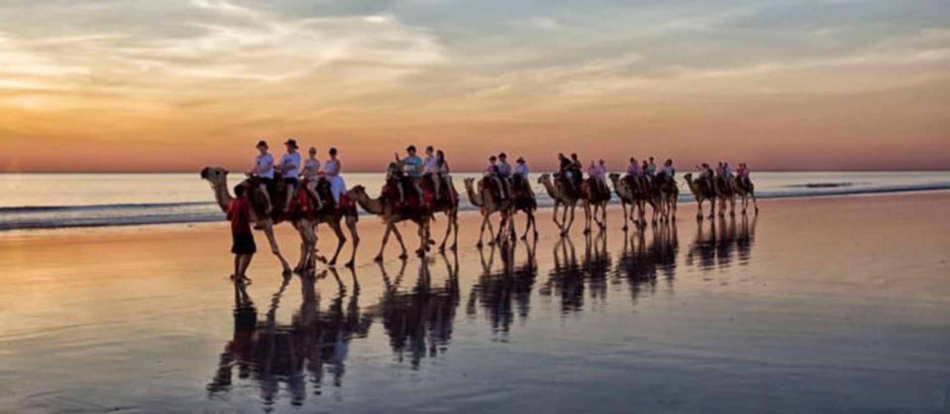 2015-07-camel-safari-7