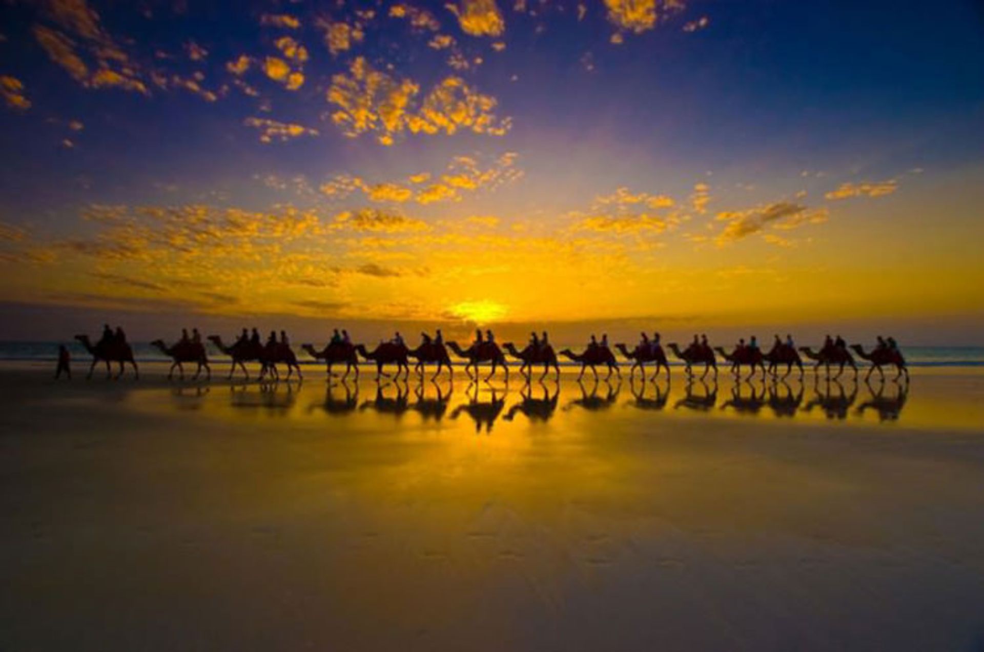 2015-07-camel-safari-8
