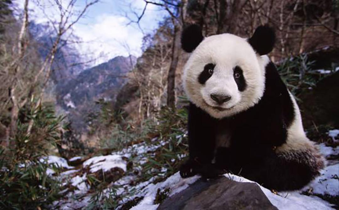 2015-07-china-3