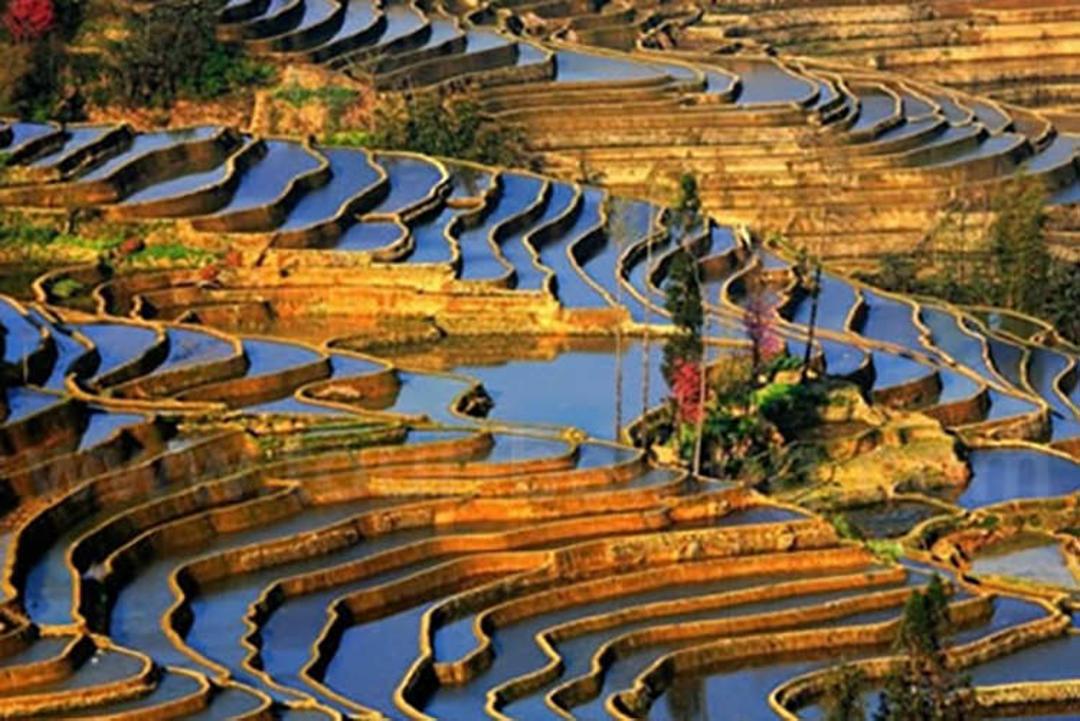 2015-07-china-4
