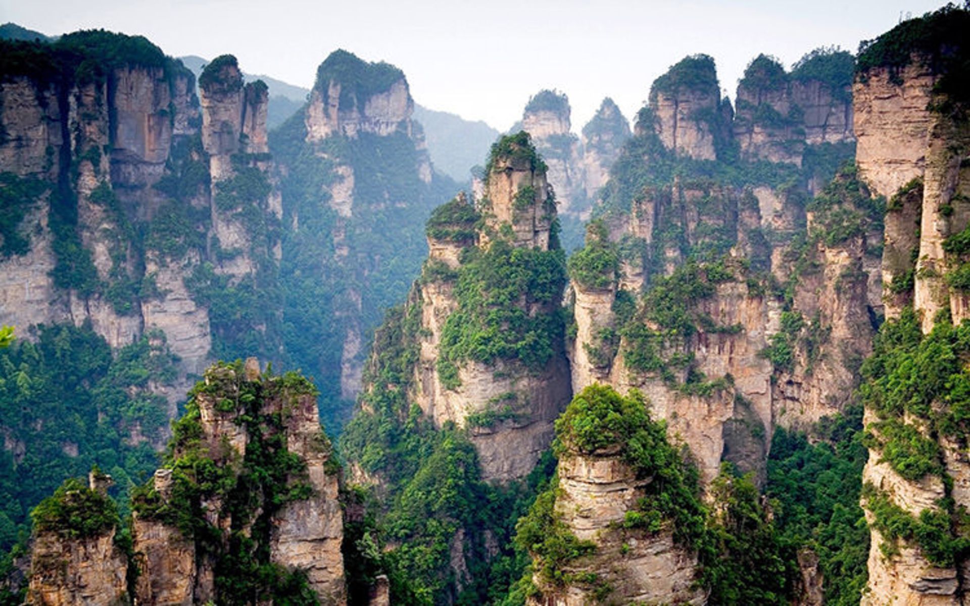 2015-07-chinese-mountain-cliff-top-forest-trees_1920x1200