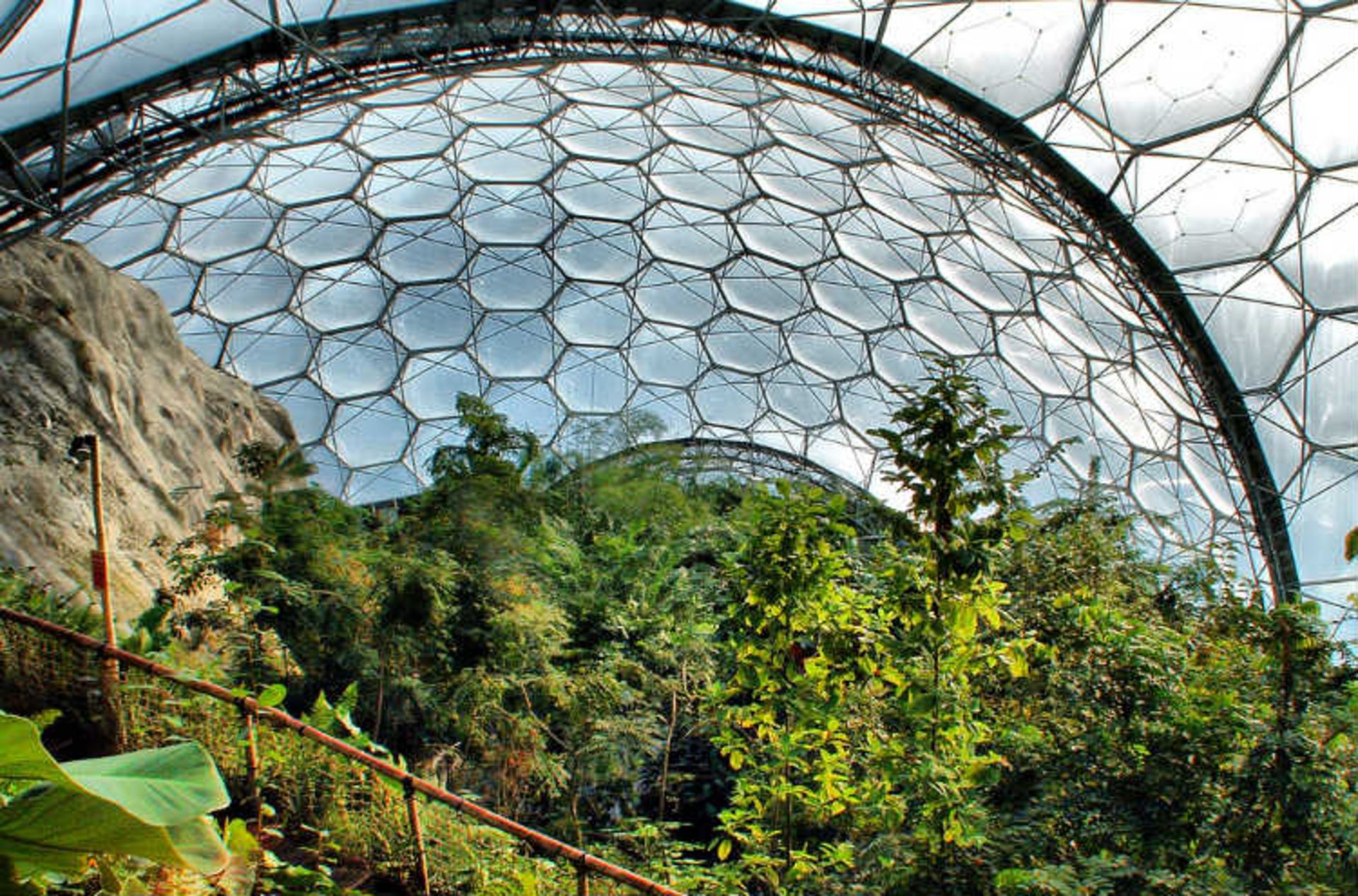 2015-07-eden-project-11