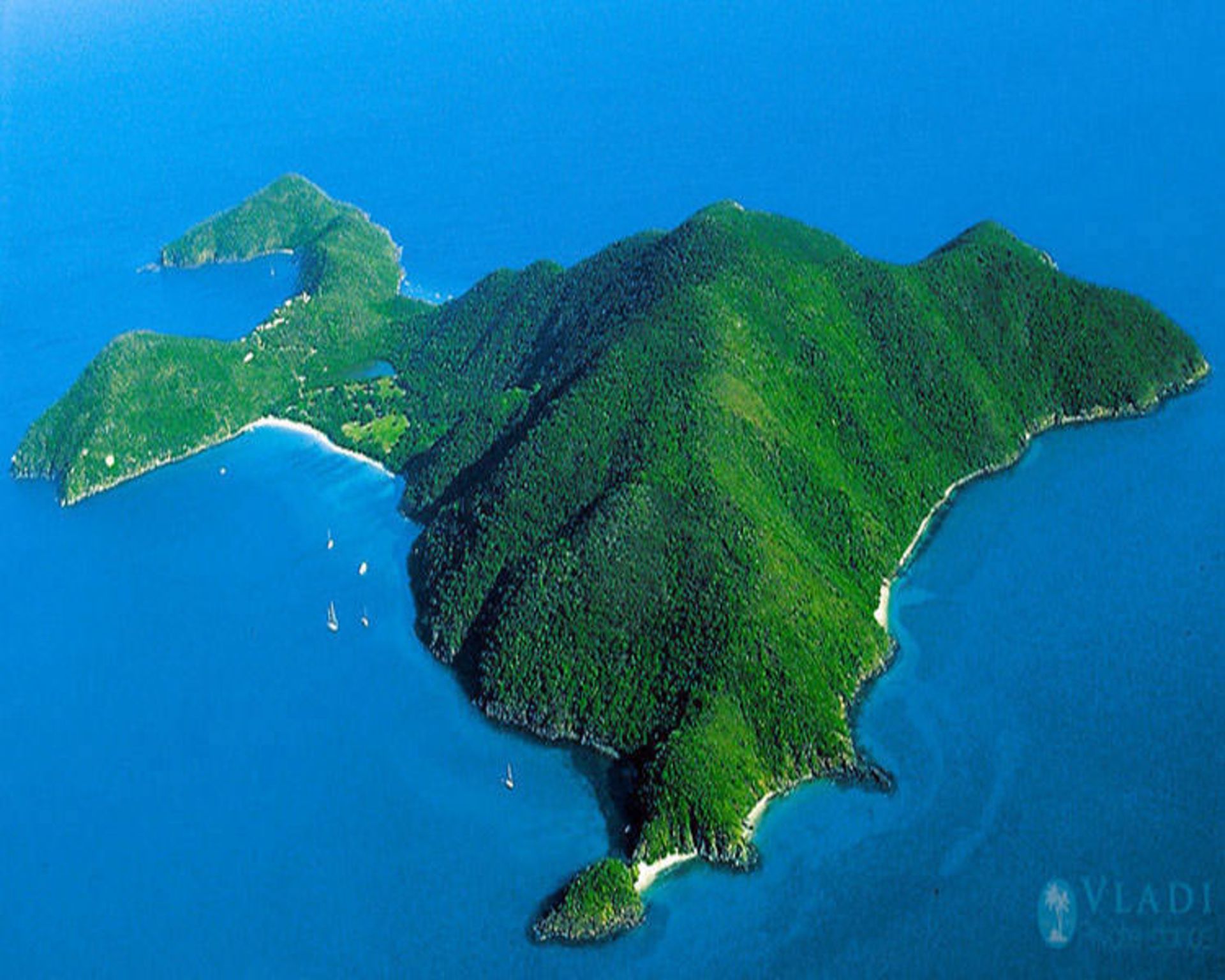 2015-07-guana