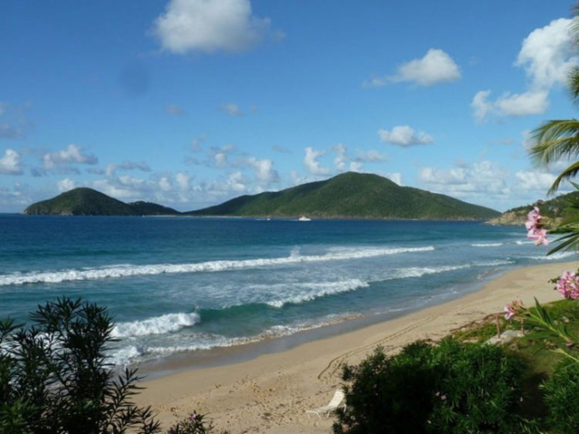 2015-07-guana-9
