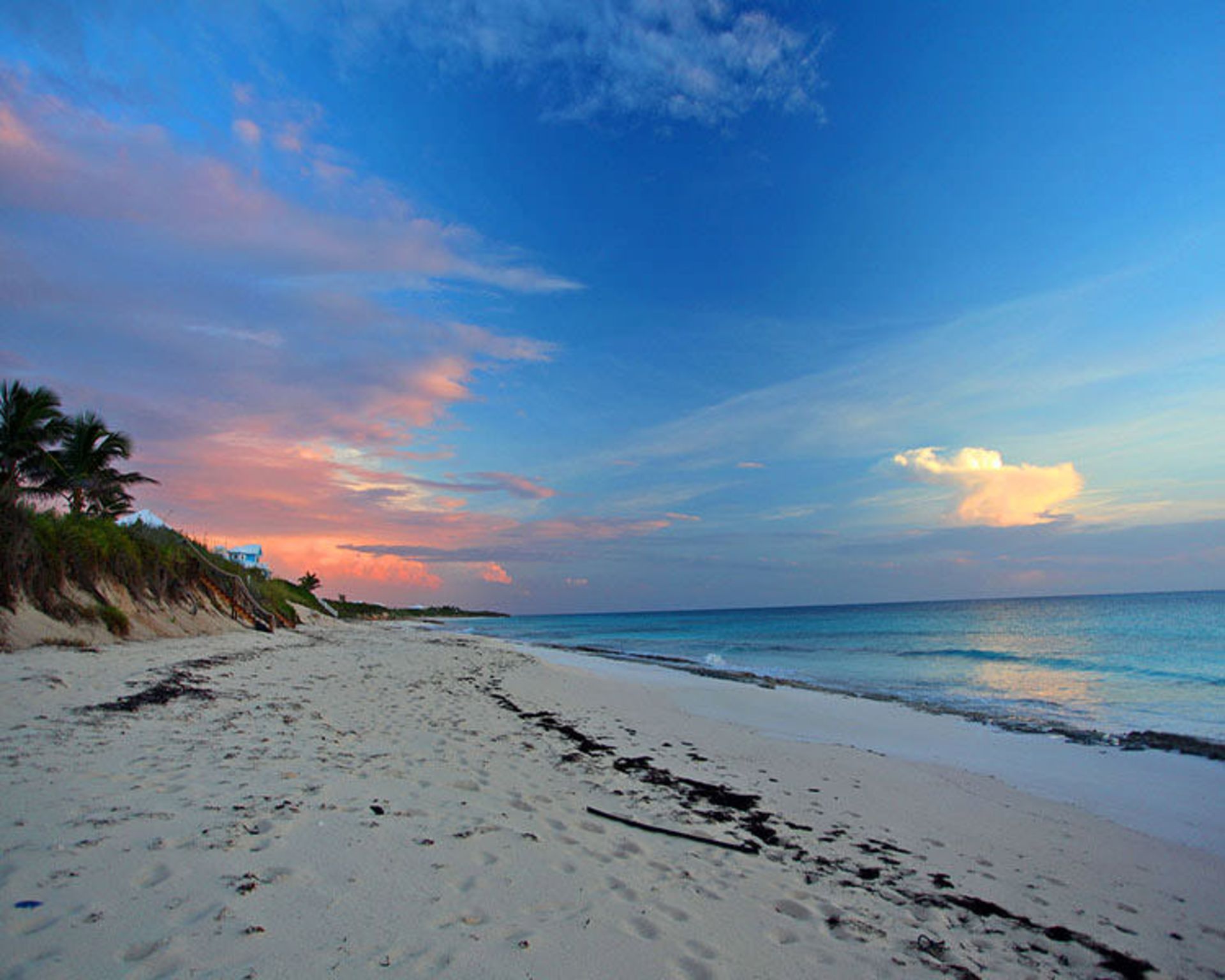 2015-07-guana01
