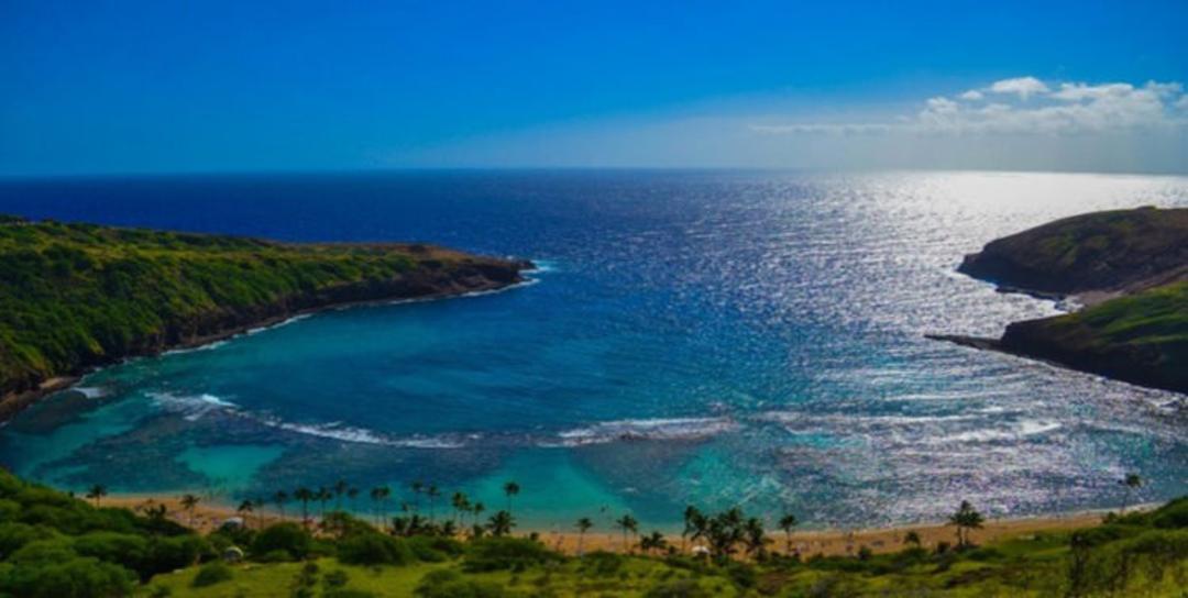 2015-07-hanauma-5