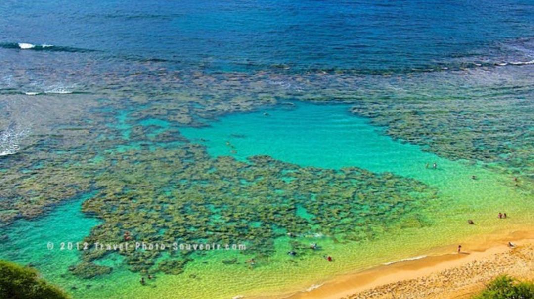 2015-07-hanauma-7