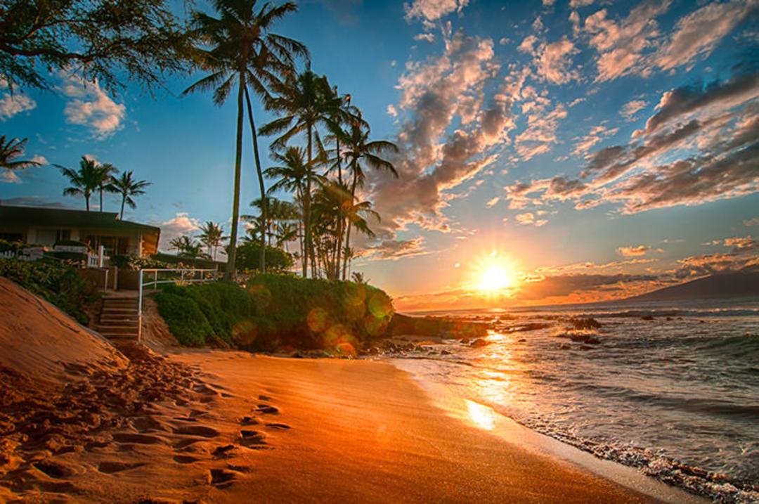 2015-07-hawaii__summer_home_by_alierturk-d5bv07g