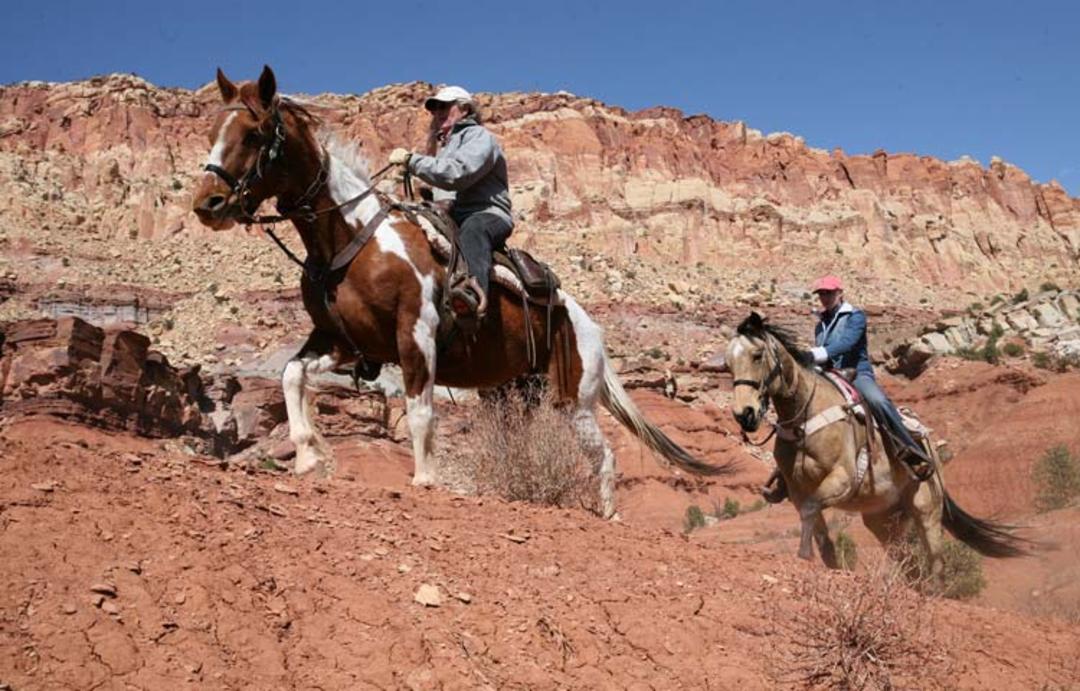 2015-07-horseback-riding-in-zion