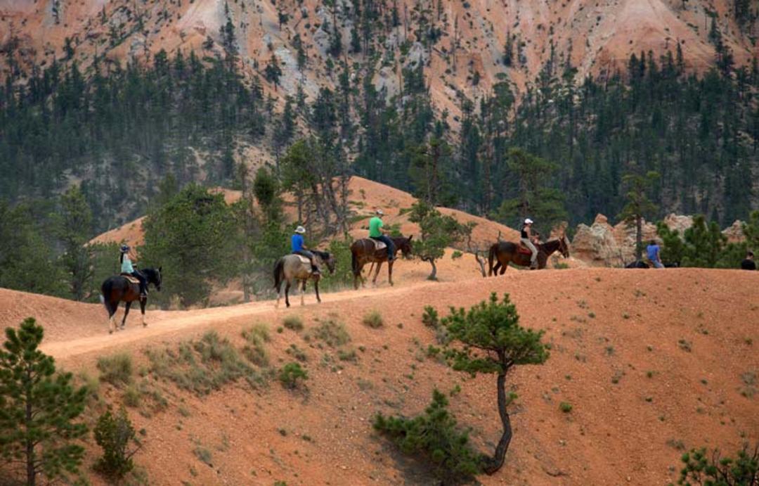 2015-07-horseback-riding-in-zion2