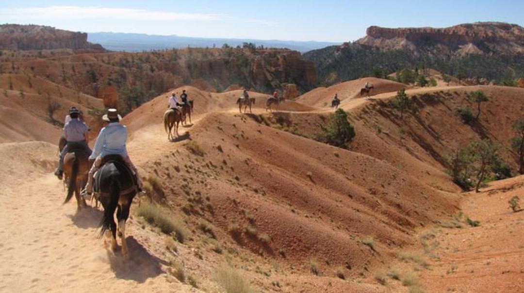 2015-07-horseback-riding-in-zion3