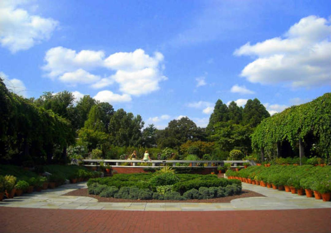 2015-07-john-f-kennedy-arboretum