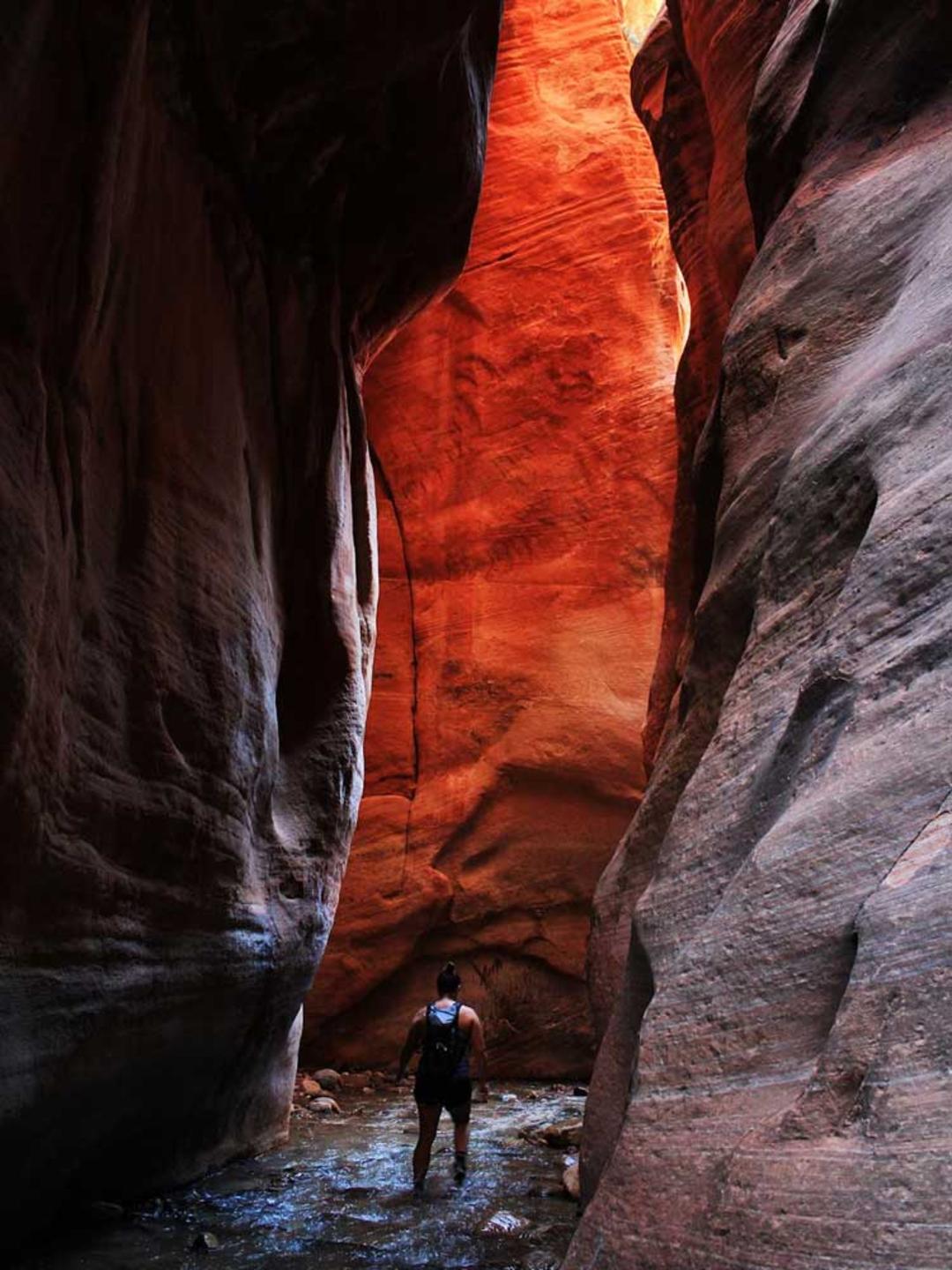 2015-07-kanarra-creek-in-utah-zion2