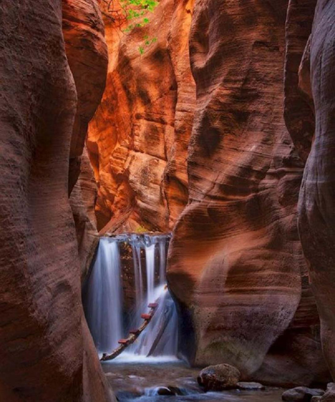 2015-07-kanarra-creek-in-utah-zion3