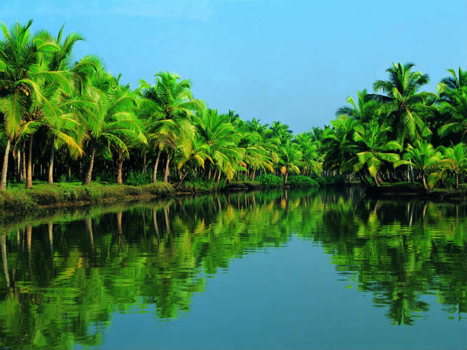 2015-07-kerala-back-waters2