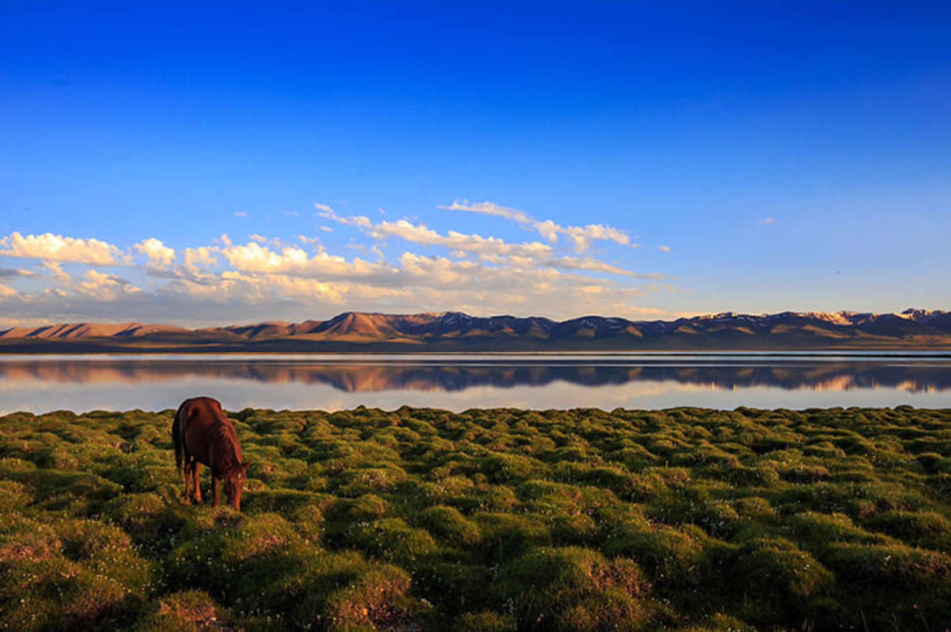 2015-07-kyrgyzstan-13