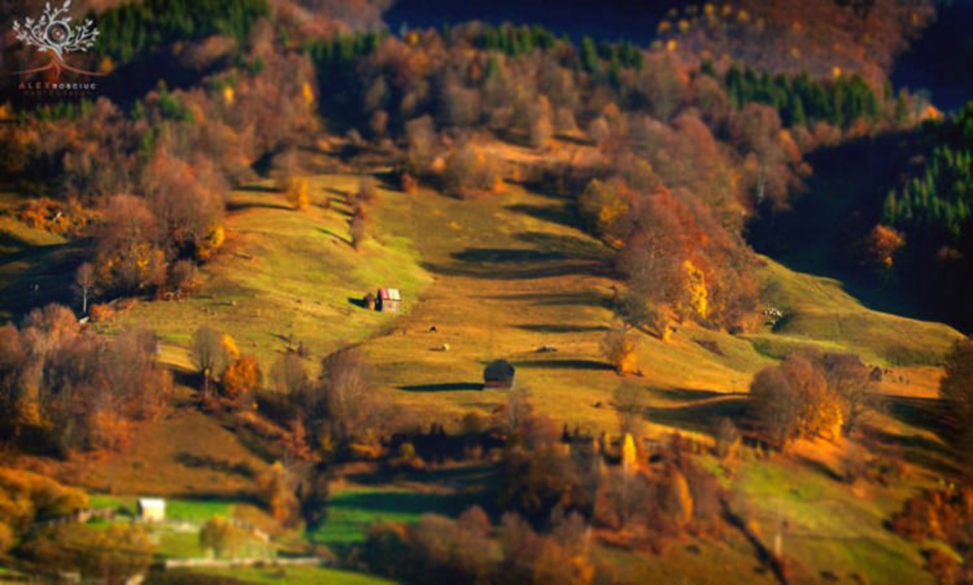 2015-07-maramures-14