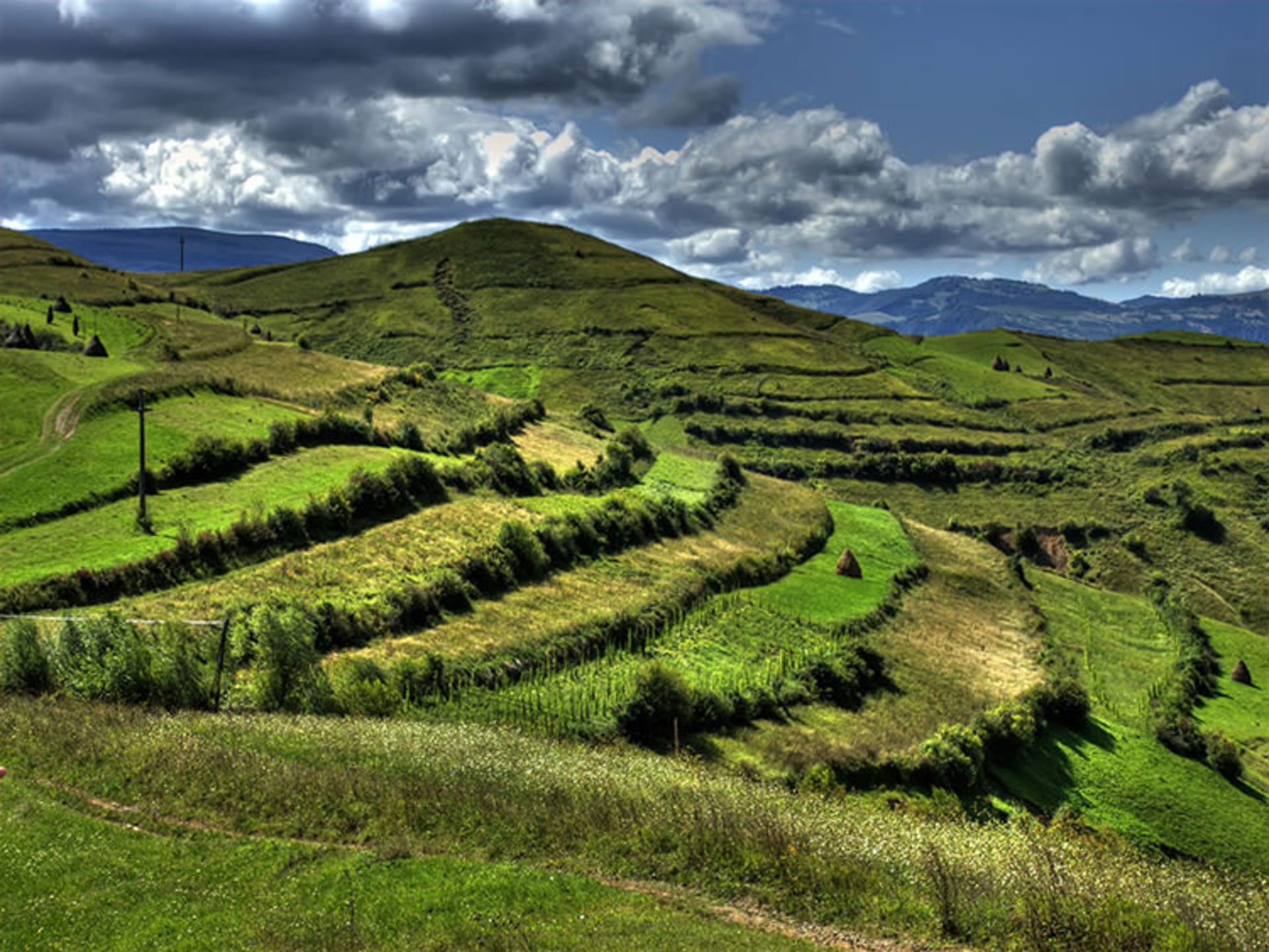 2015-07-maramures-17