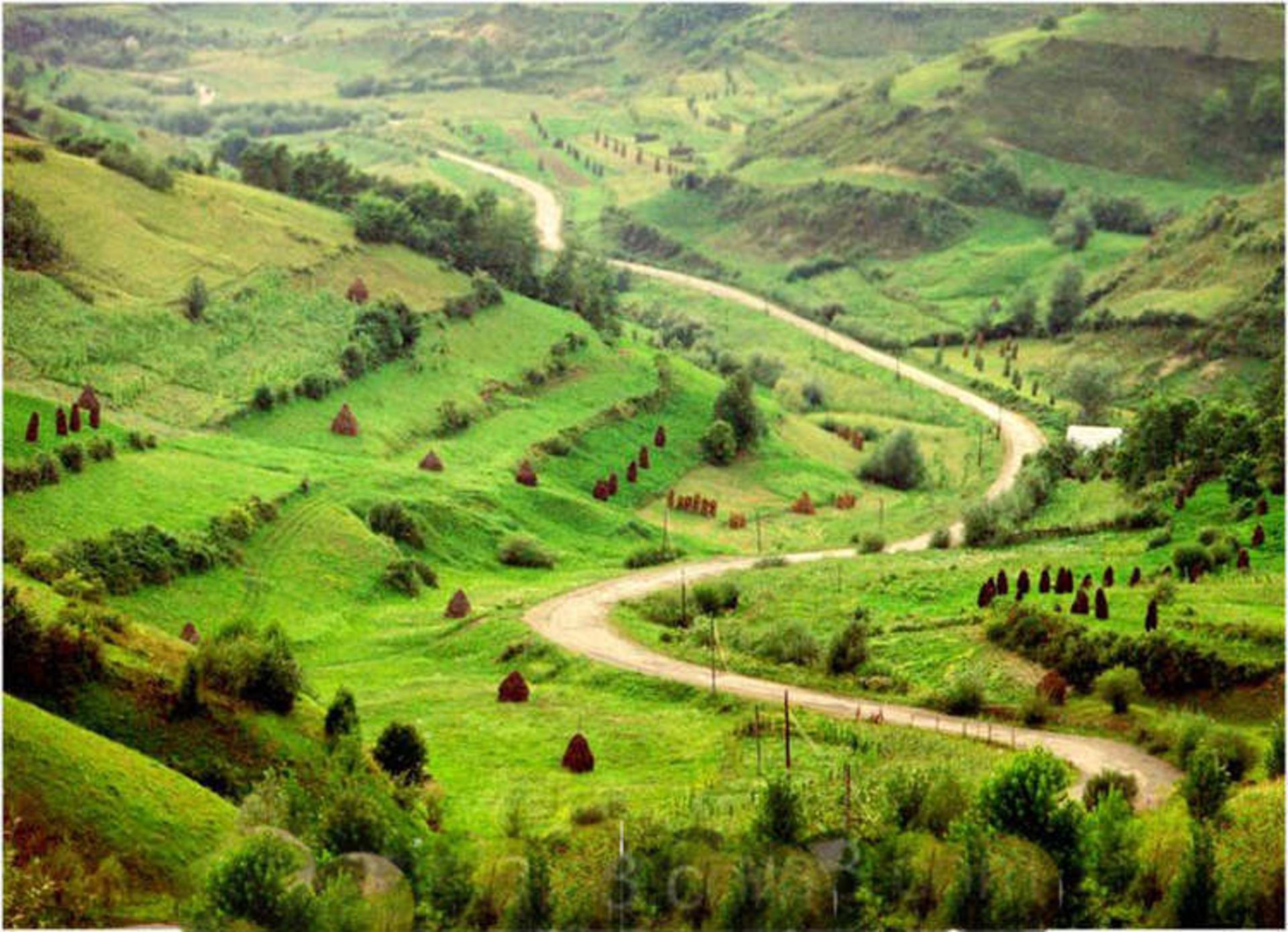 2015-07-maramures-18