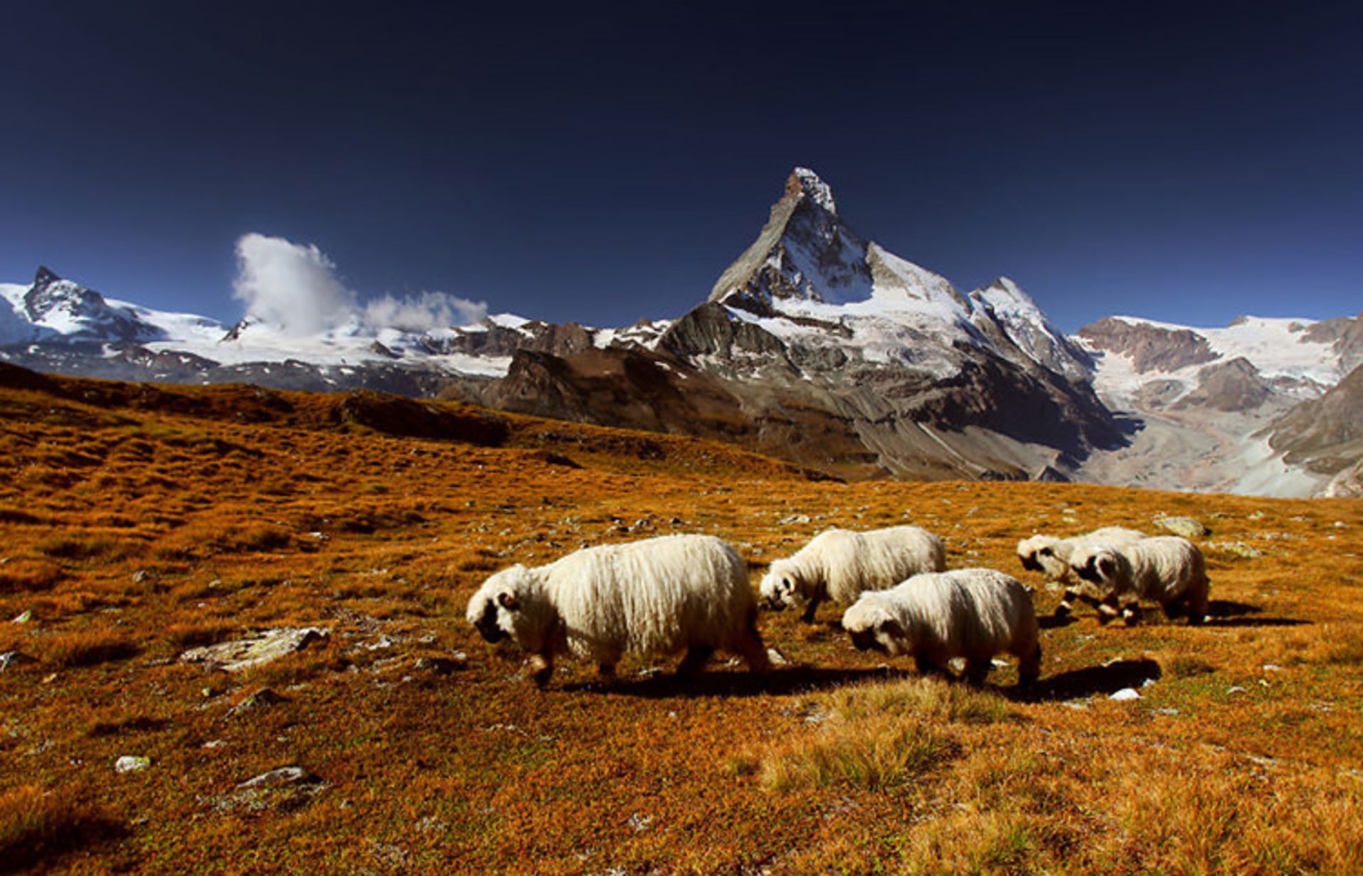 2015-07-mountain-21