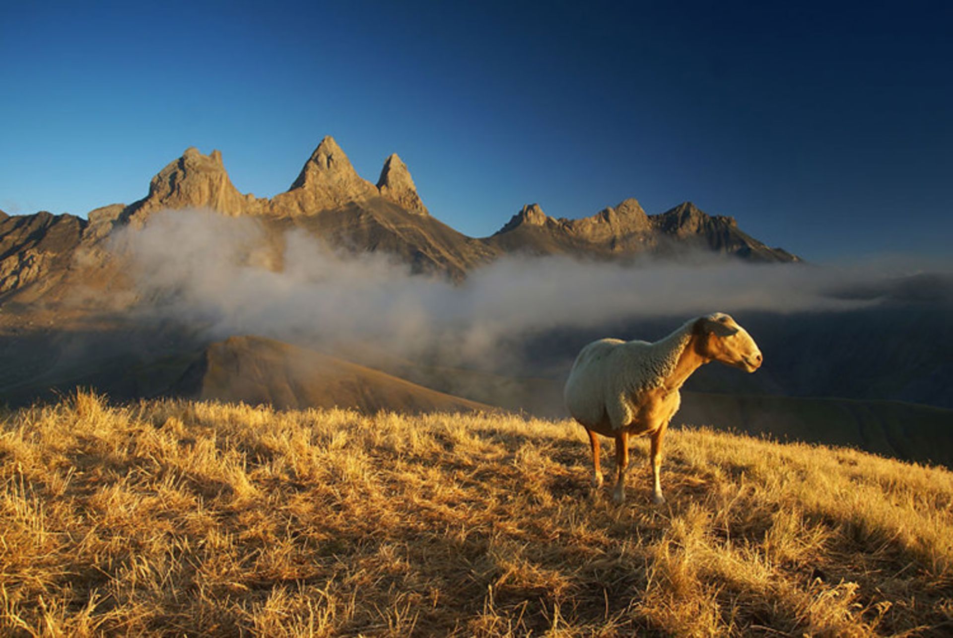 2015-07-mountain-4
