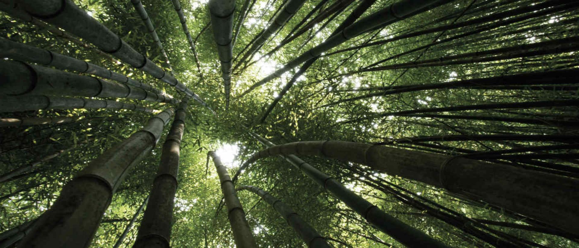 2015-07-nature-photography-hd-images-3