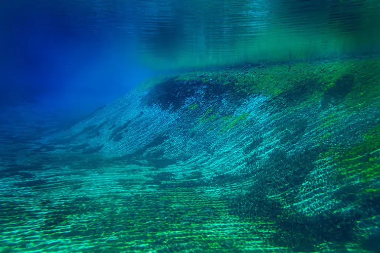 2015-07-nelson-lake-4