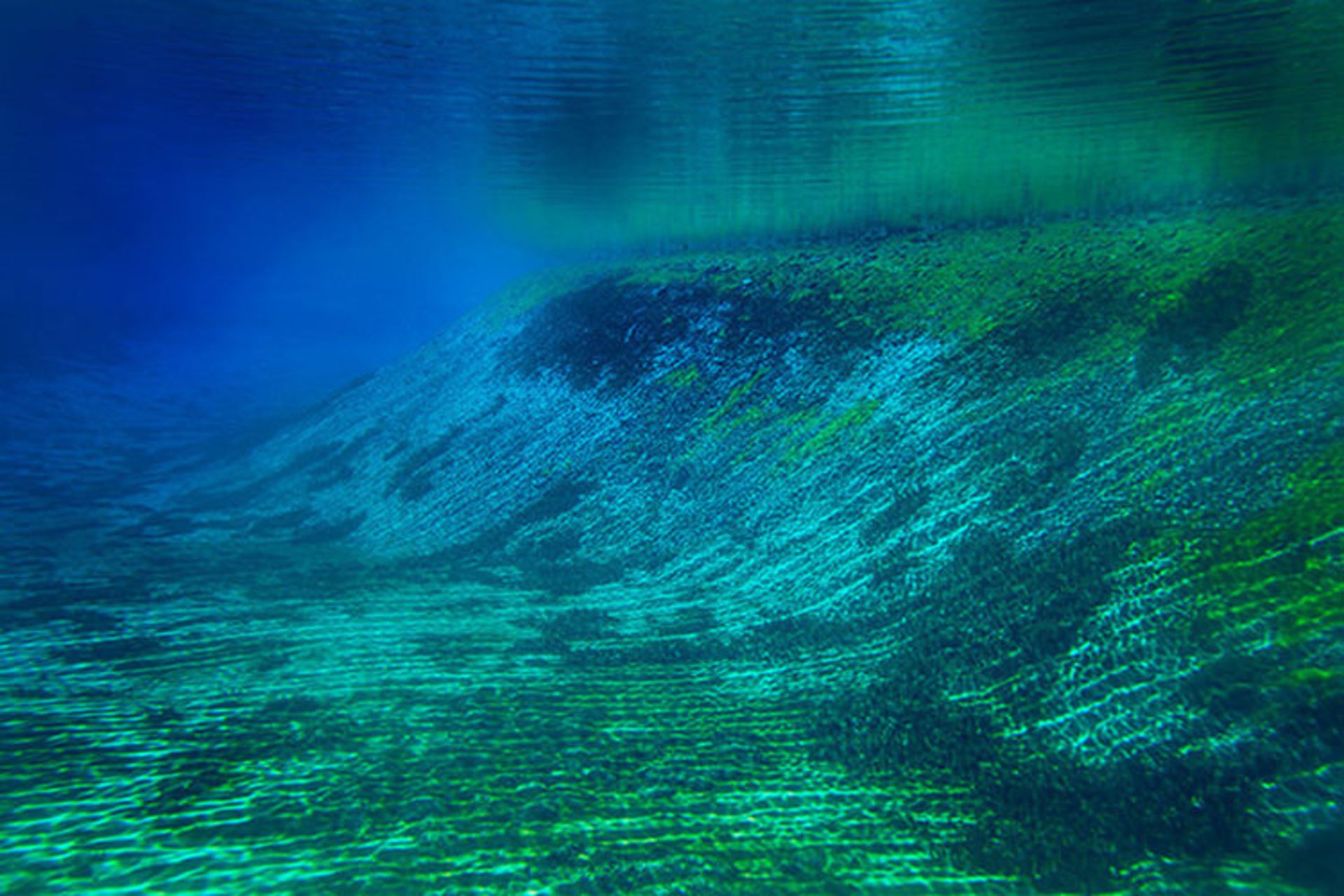 2015-07-nelson-lake-4