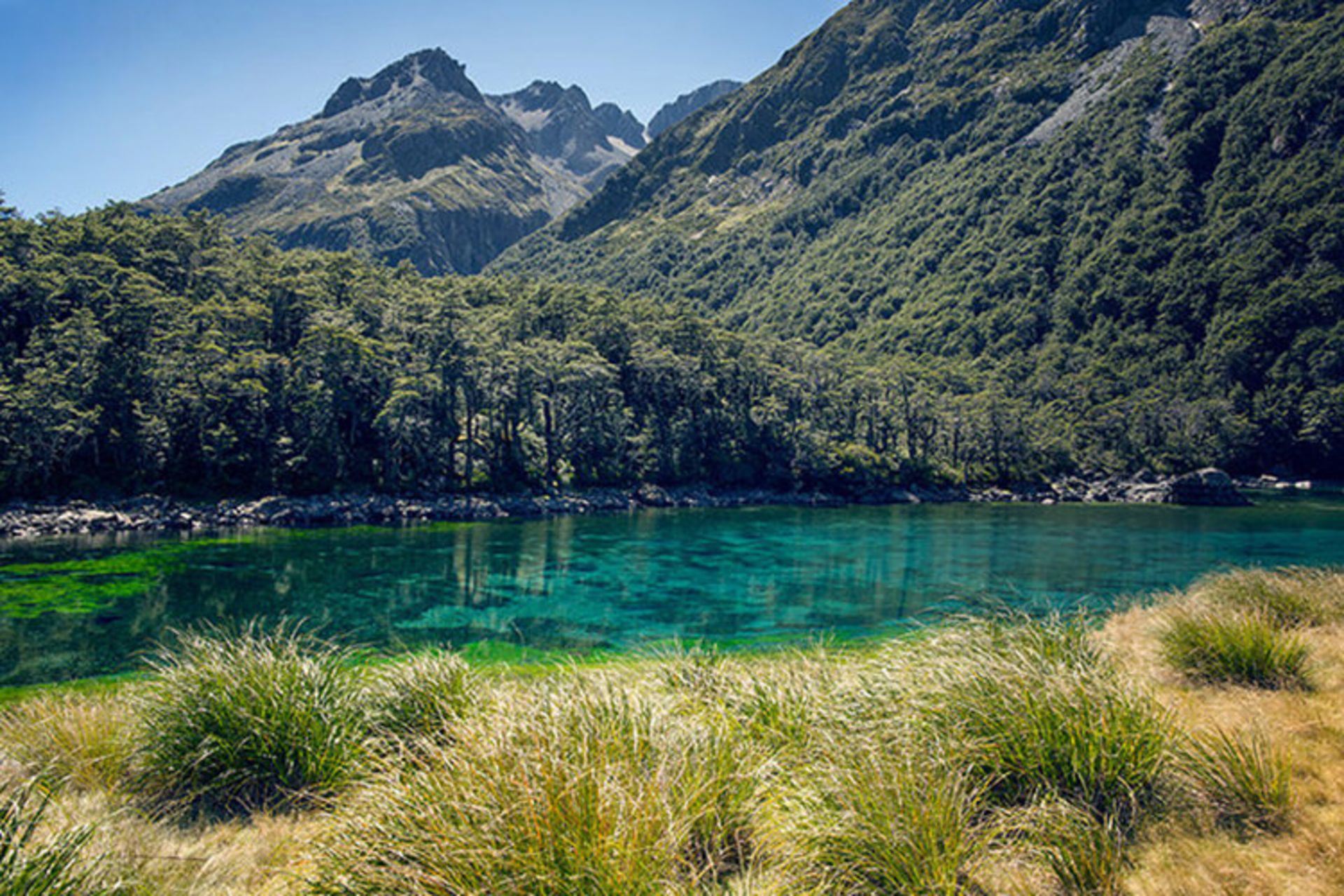 2015-07-nelson-lake-6