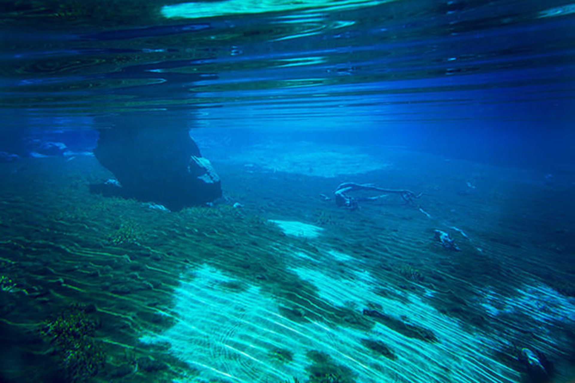 2015-07-nelson-lake-7