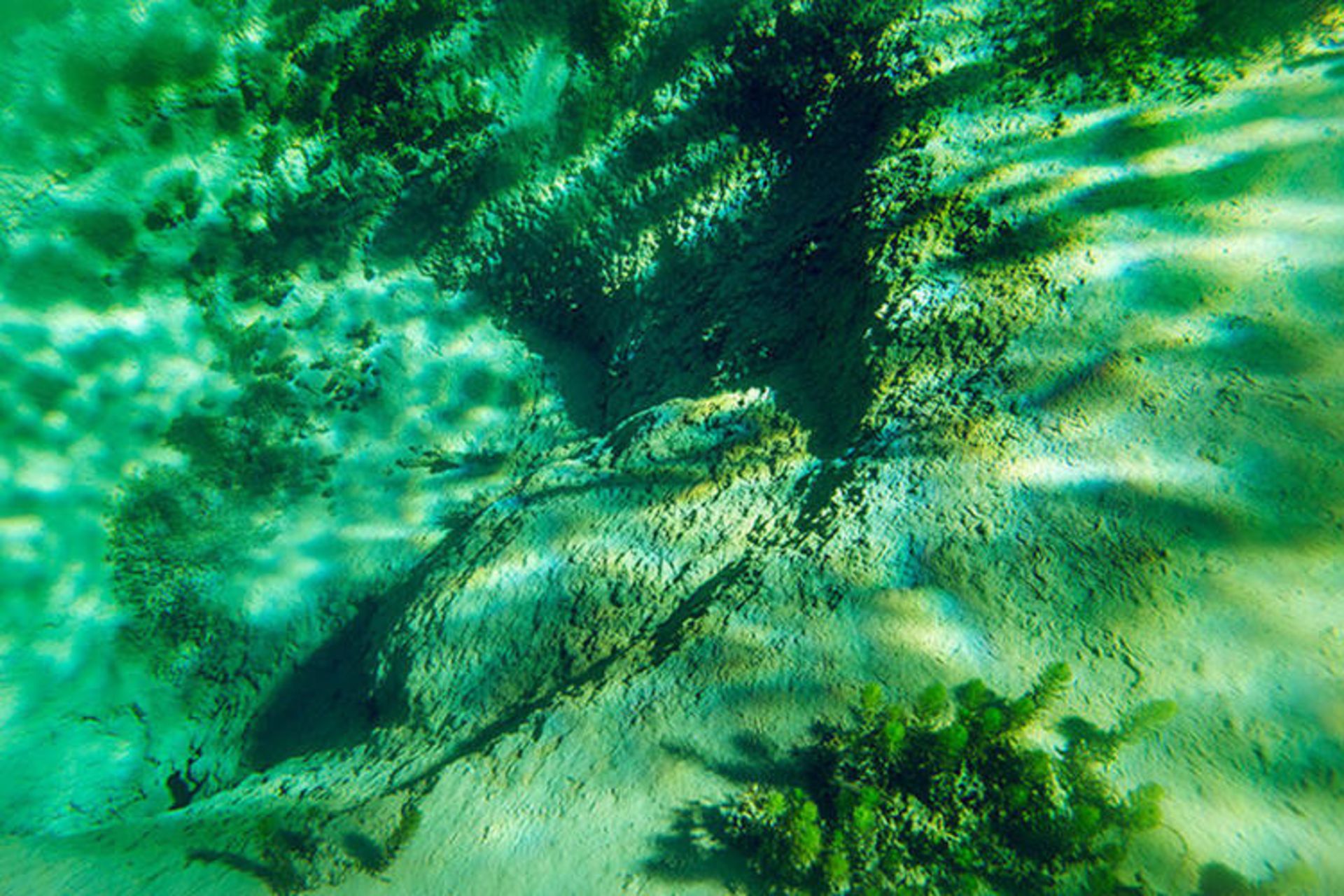 2015-07-nelson-lake-9