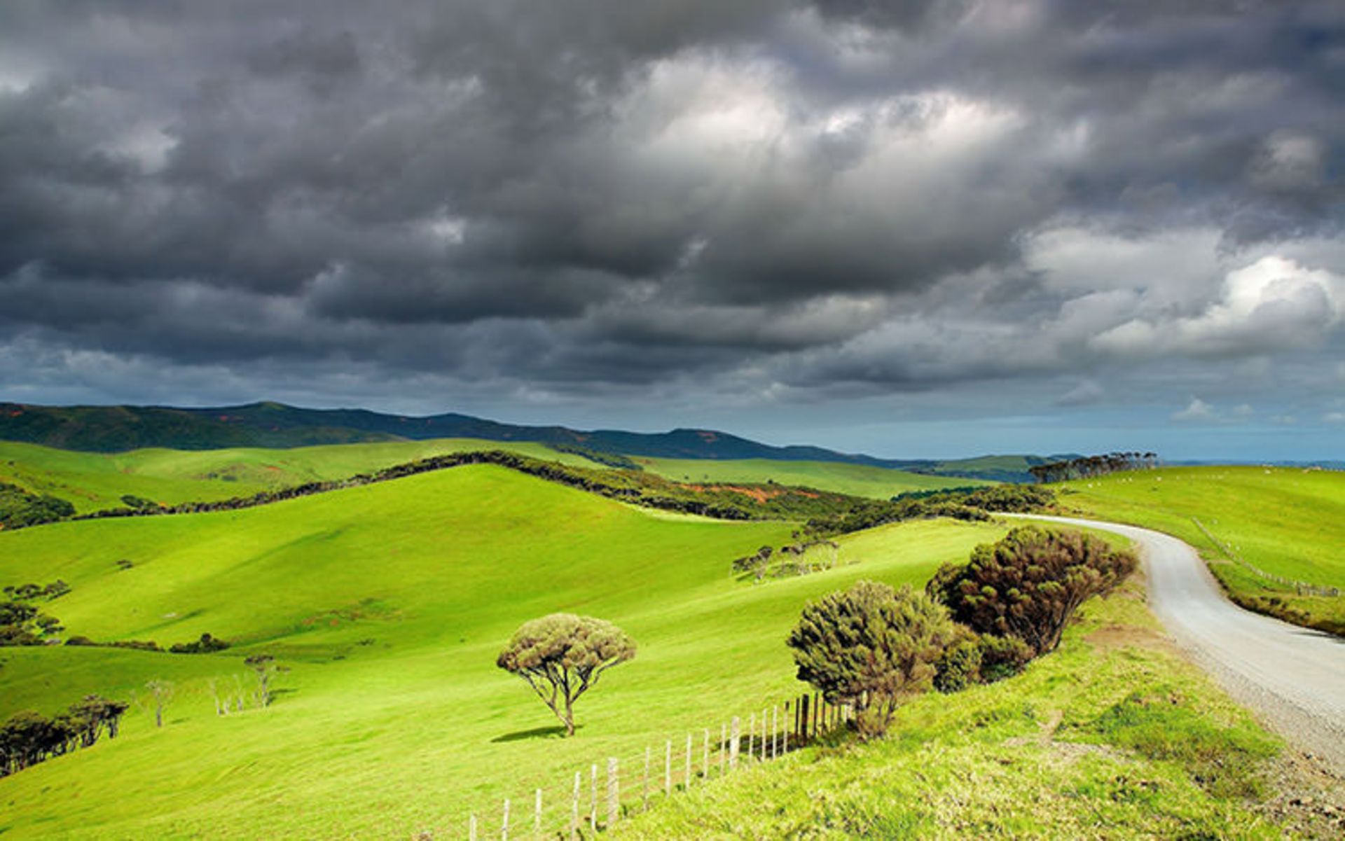 2015-07-newzealand-31