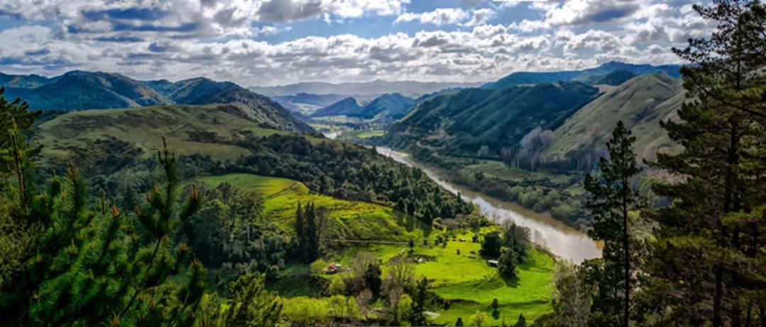 2015-07-newzealand-37