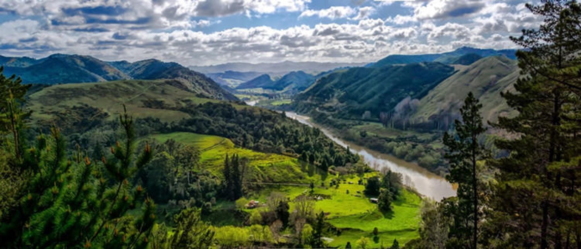 2015-07-newzealand-37