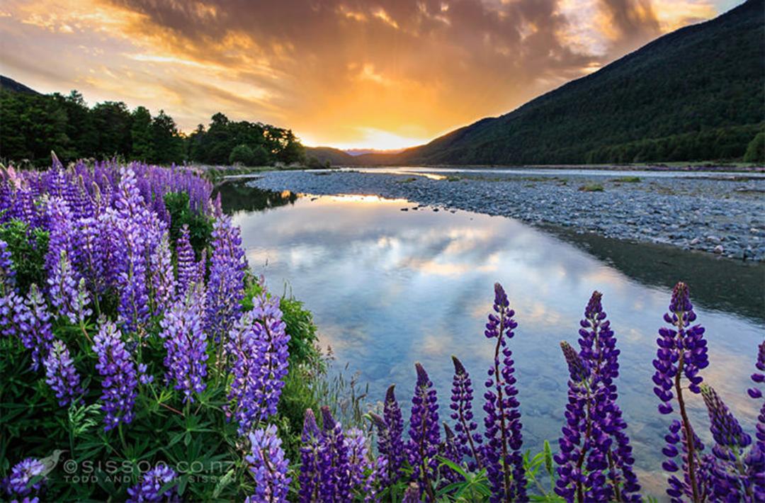 2015-07-newzealand-39