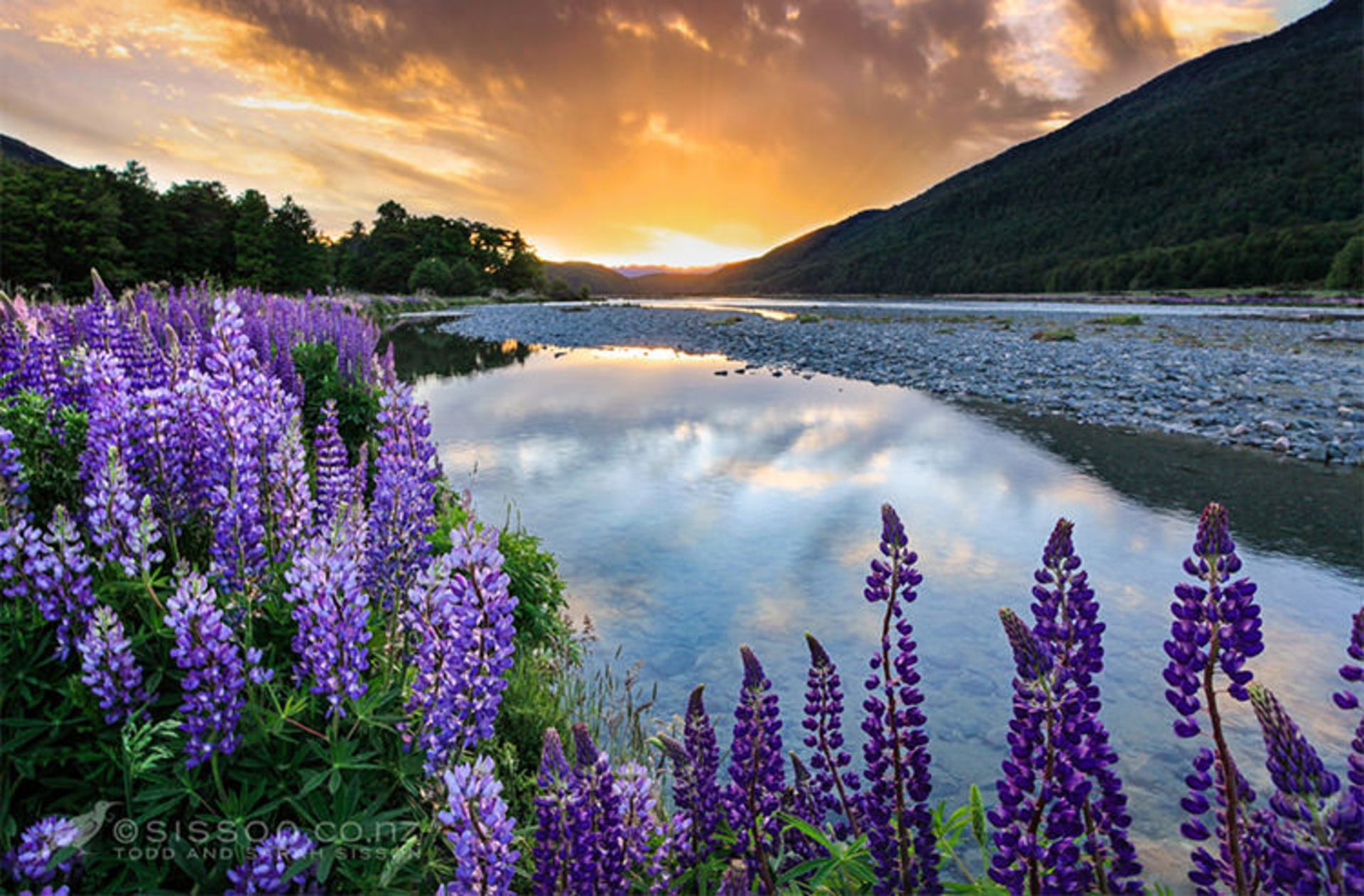 2015-07-newzealand-39