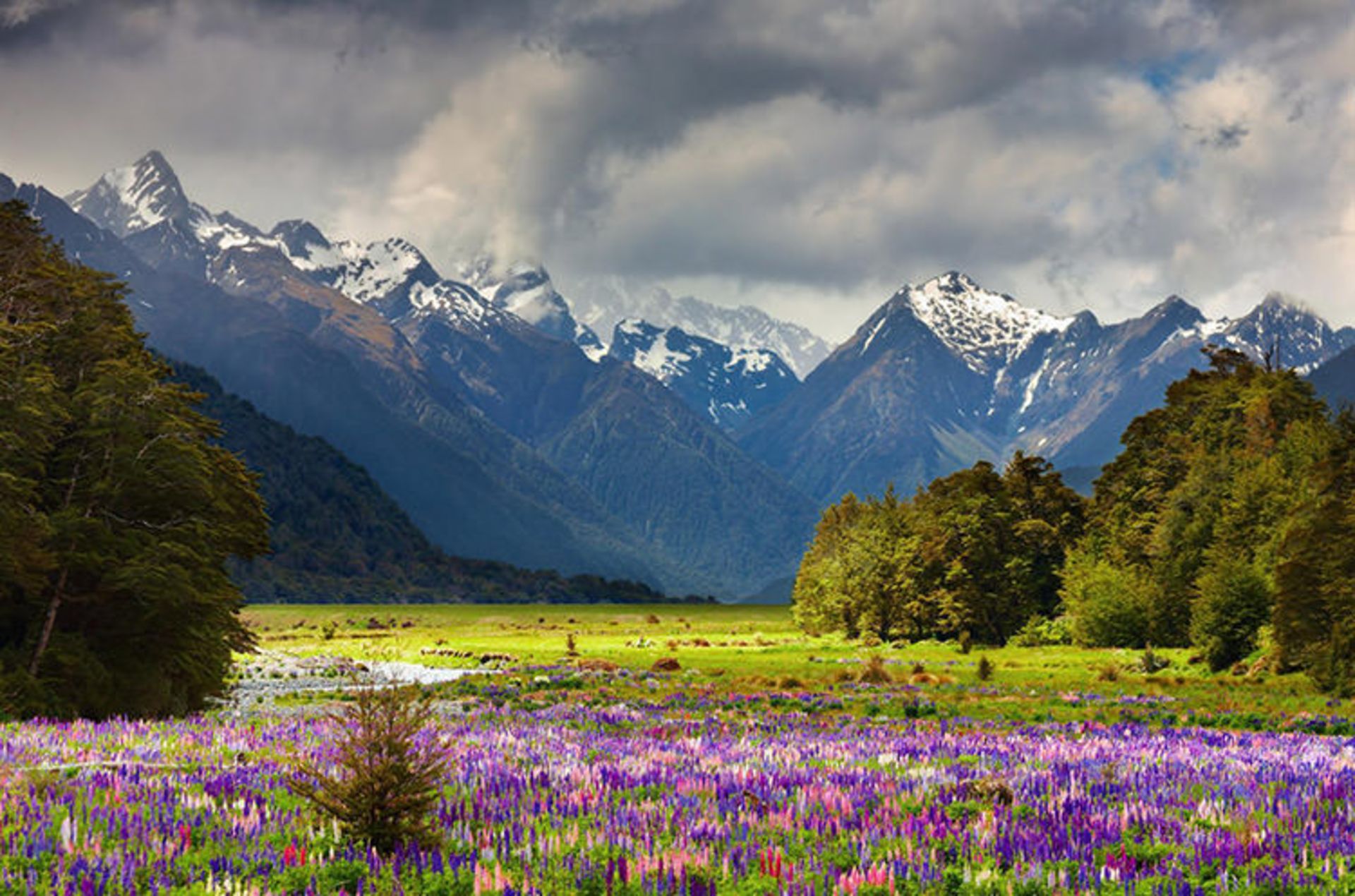 2015-07-newzealand-40