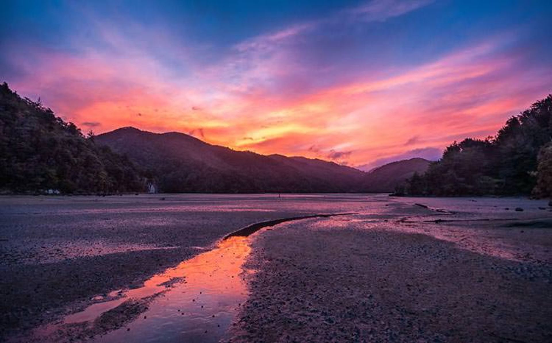 2015-07-newzealnd-26