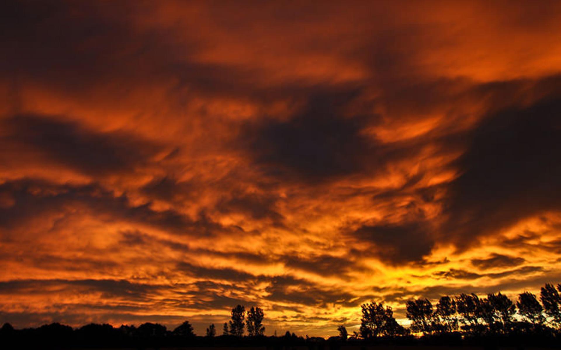 2015-07-newzealnd-30