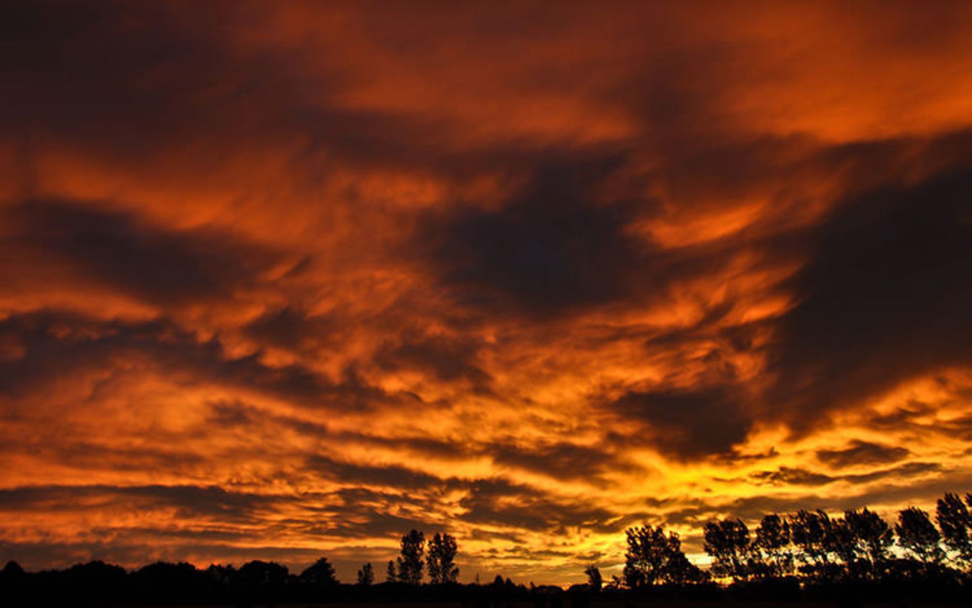 2015-07-newzealnd-30