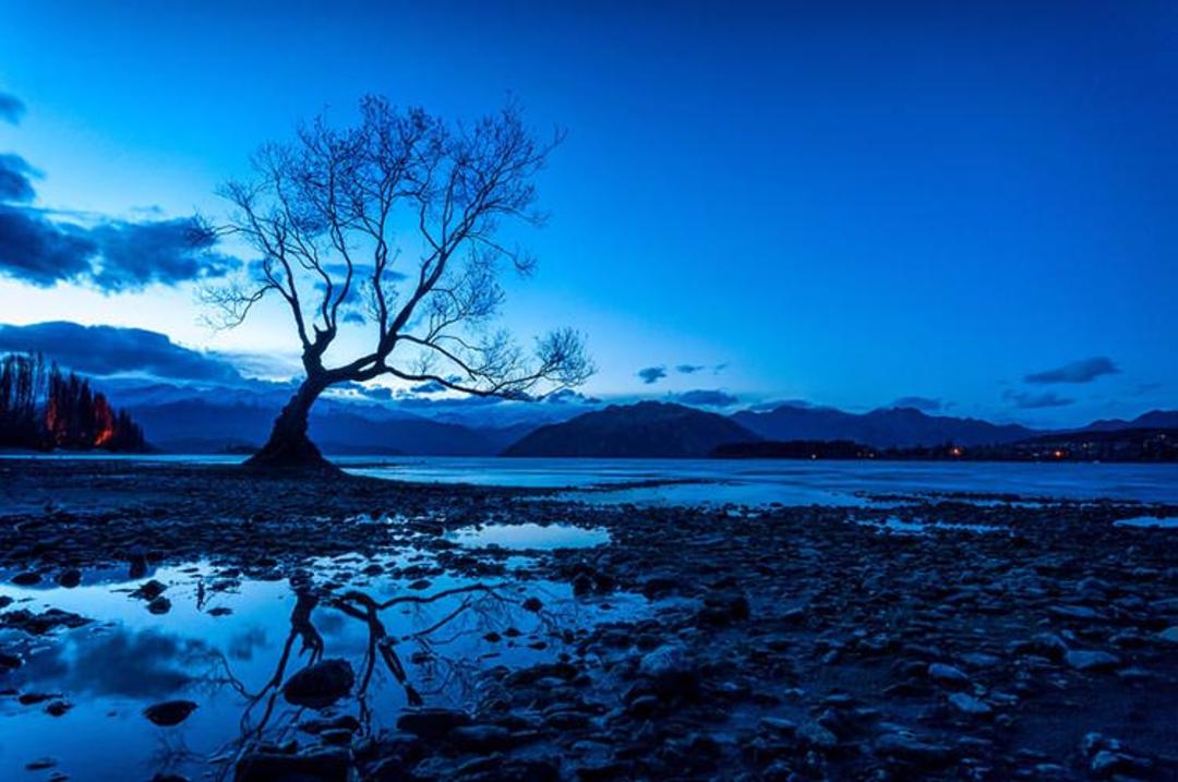 2015-07-newzealnd-4