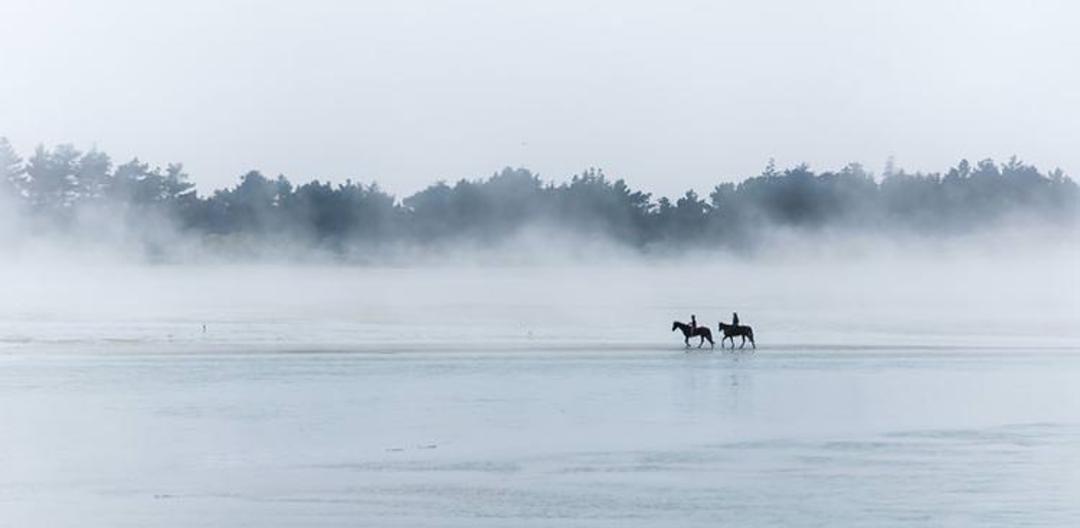2015-07-newzealnd-6