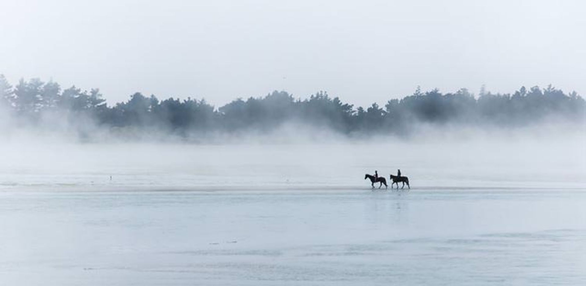 2015-07-newzealnd-6