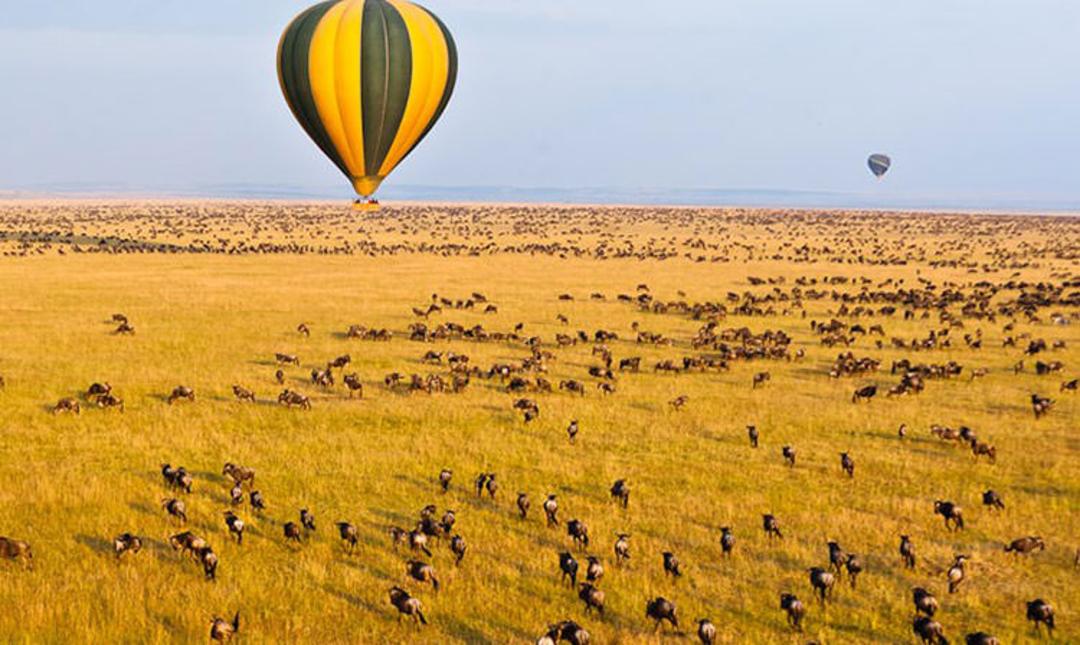2015-07-serengeti