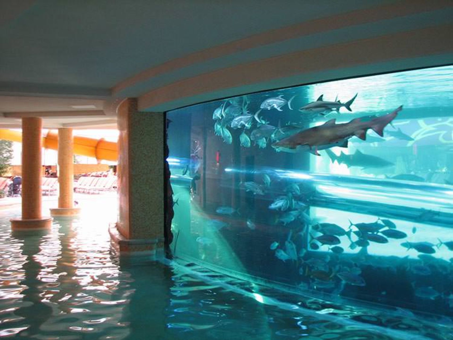مجموعه استخر های The Tank