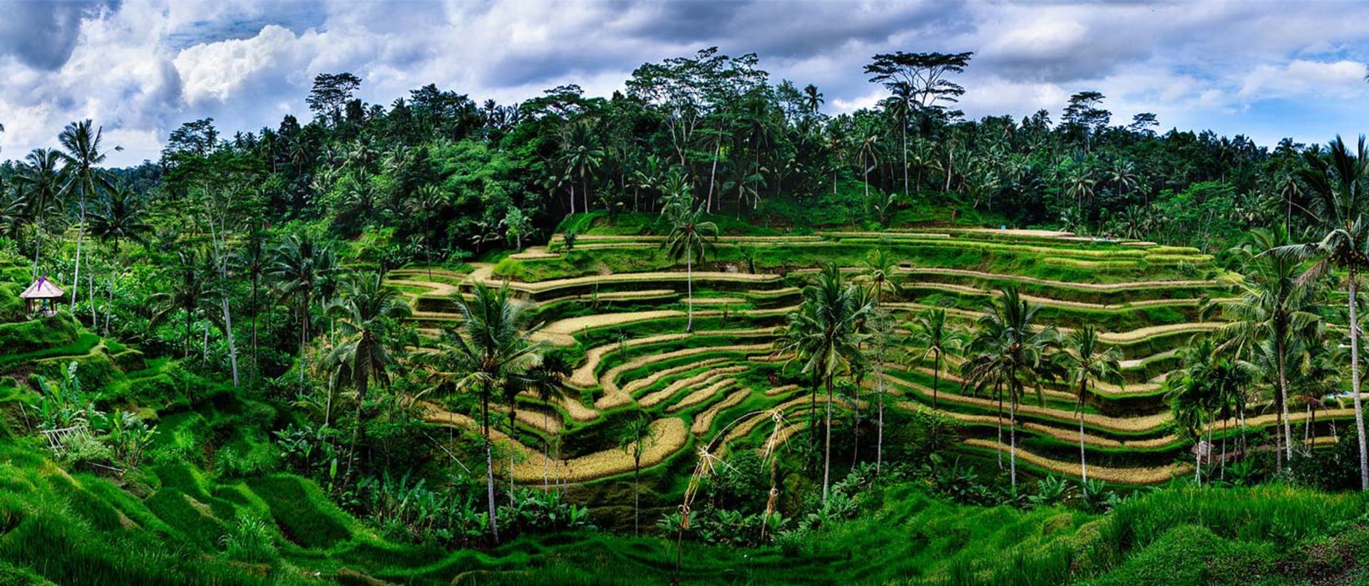 2015-07-top-10-natural-terraced-structures1